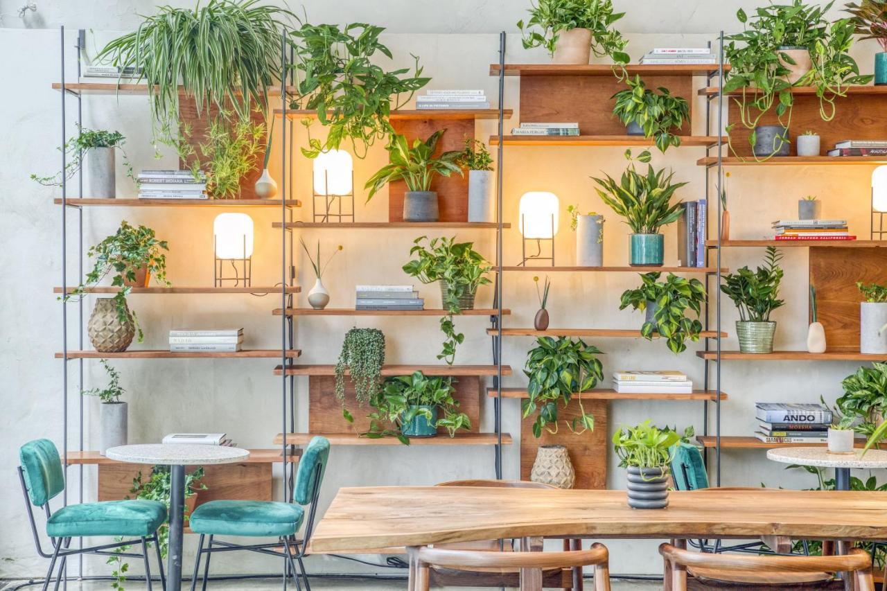 Hotel Alameda, Highline Ню Йорк Екстериор снимка